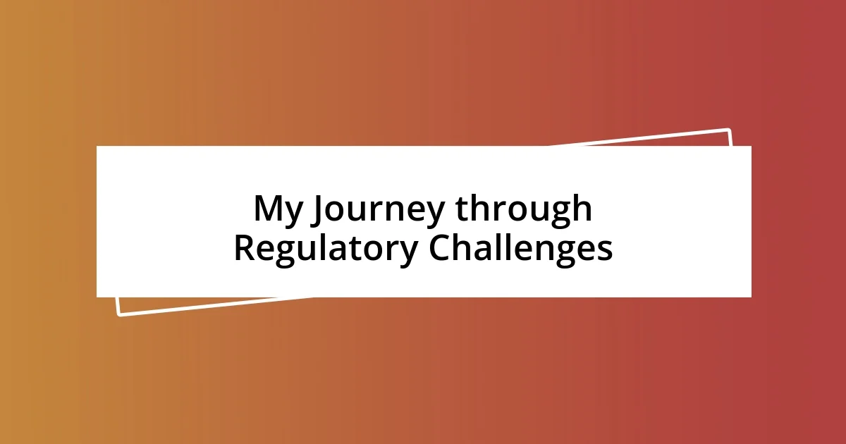 My Journey through Regulatory Challenges