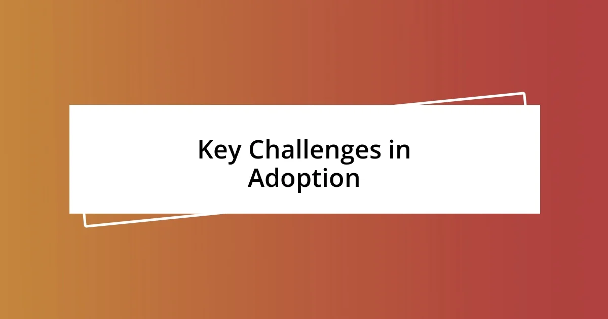 Key Challenges in Adoption